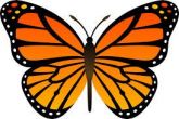 04 BORBOLETA