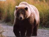 23 URSO